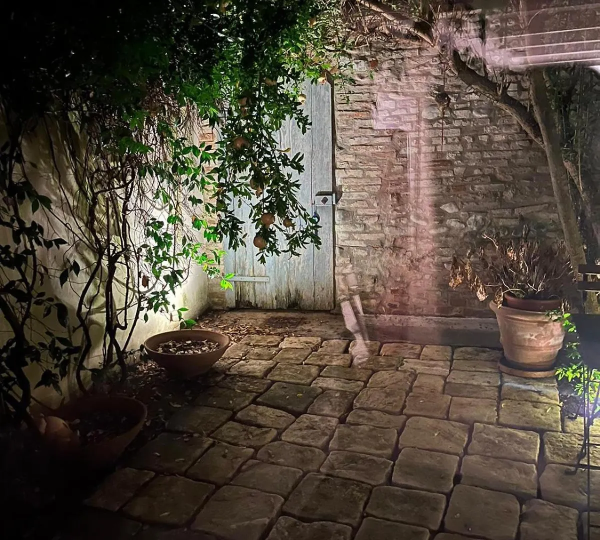 Casa Evelina Villa Santarcangelo di Romagna Holiday home